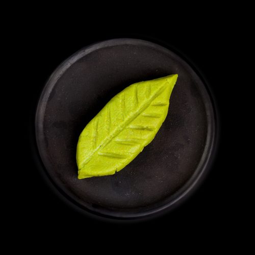 Wasabi Wasabi sushi